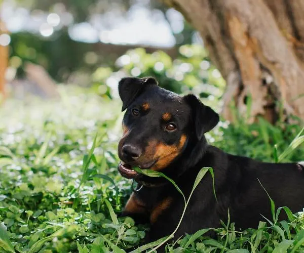 Relax 2 アパート *